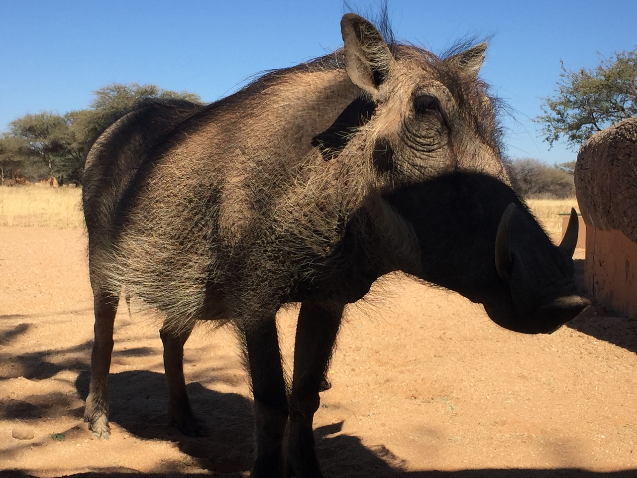 [2568] 2016_06_22_10_57_07_Africa_iPhone_6_IMG_7689_00280.jpg