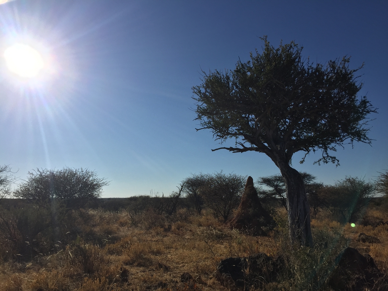 [3563] 2016_06_22_15_31_25_Africa_iPhone_6_IMG_7700_02631.jpg