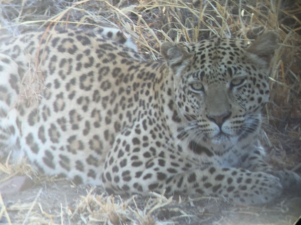 [3576] 2016_06_22_15_59_38_Africa_iPhone_6_IMG_7703_00293.jpg