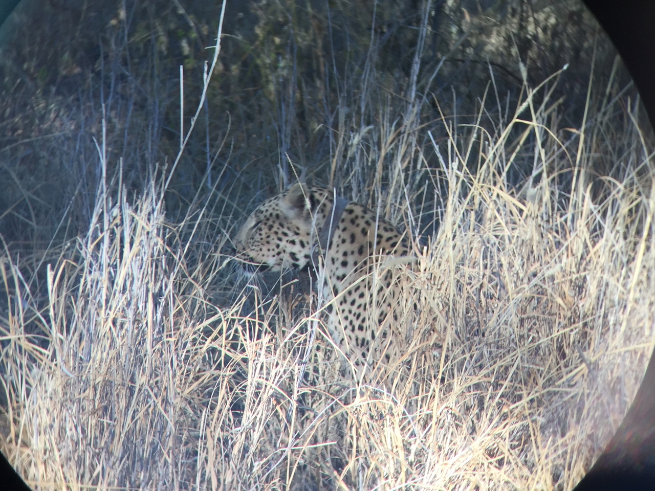 [3589] 2016_06_22_16_08_14_Africa_iPhone_6_IMG_7709_02640.jpg