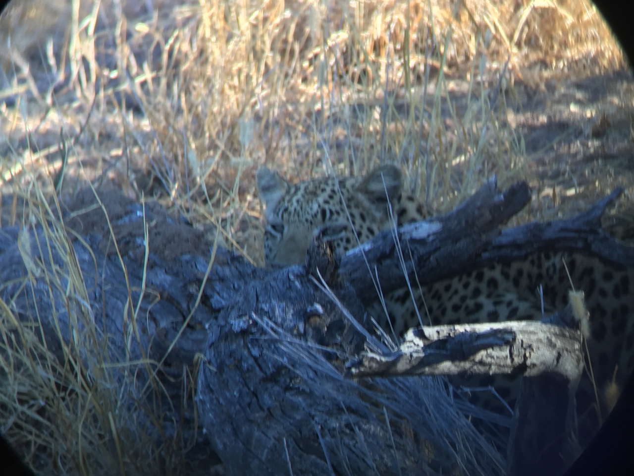 [3595] 2016_06_22_16_18_27_Africa_iPhone_6_IMG_7712_02643.jpg