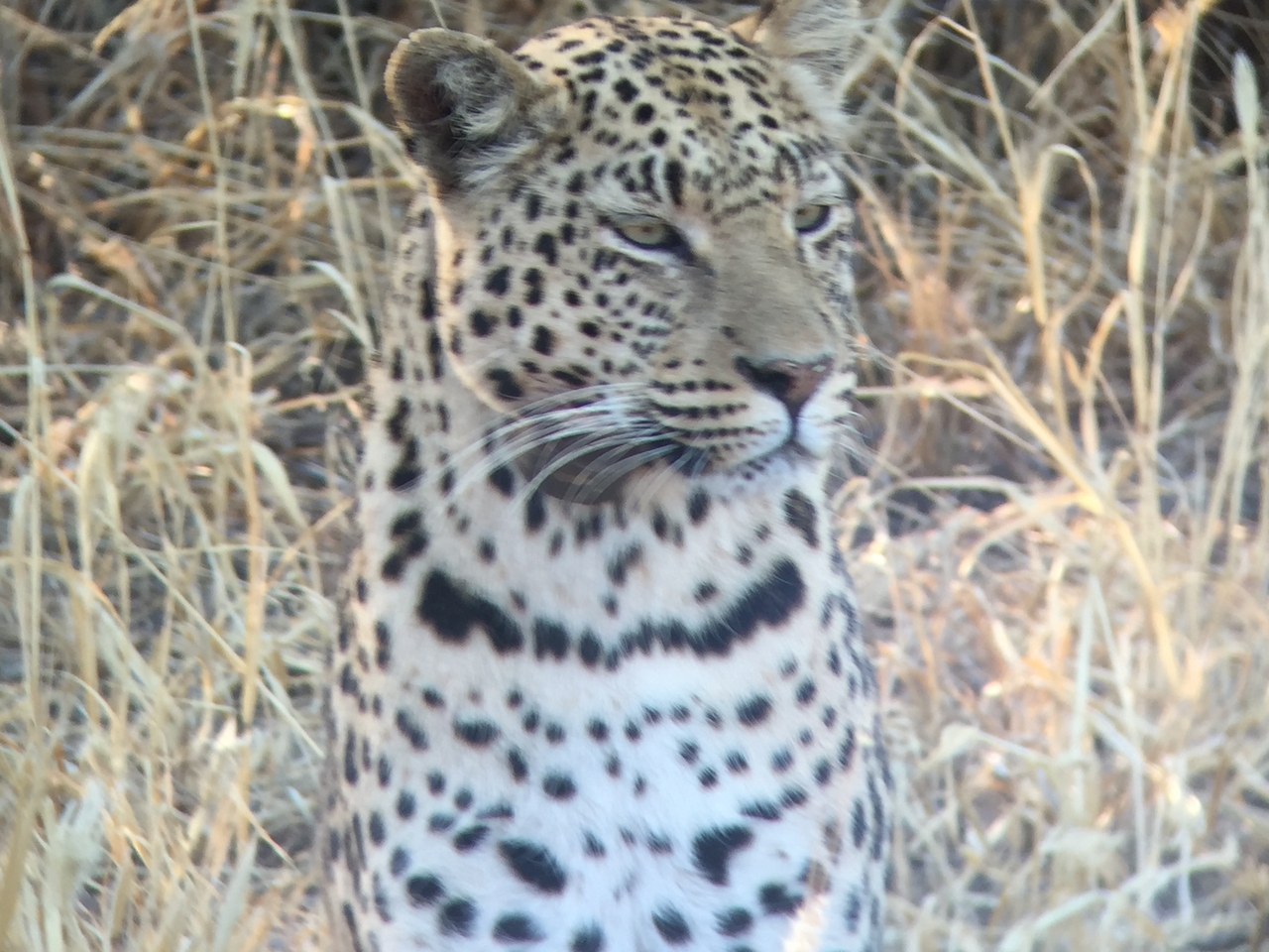 [3606] 2016_06_22_16_23_00_Africa_iPhone_6_IMG_7718_00308.jpg