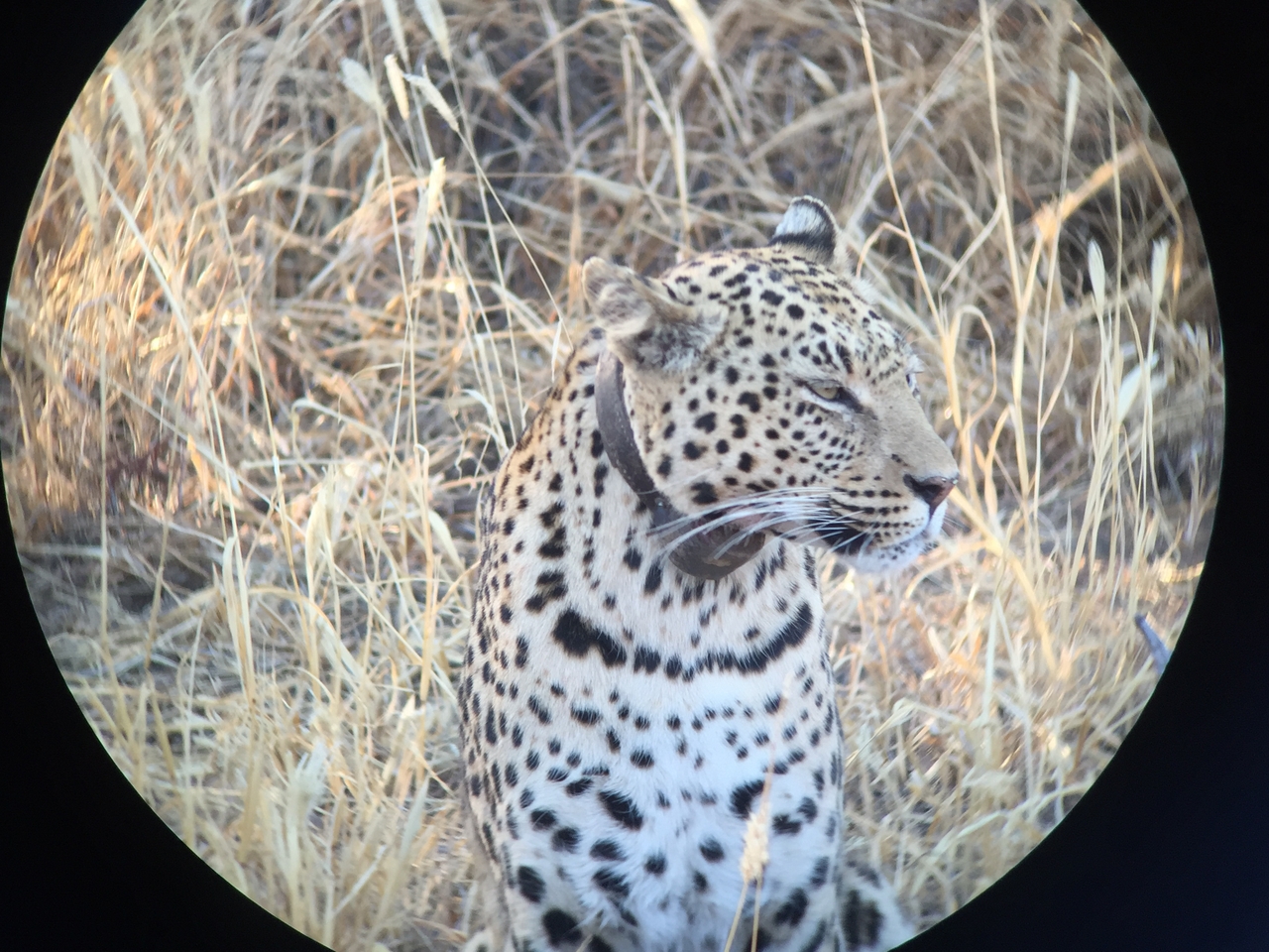 [3612] 2016_06_22_16_23_09_Africa_iPhone_6_IMG_7721_00311.jpg