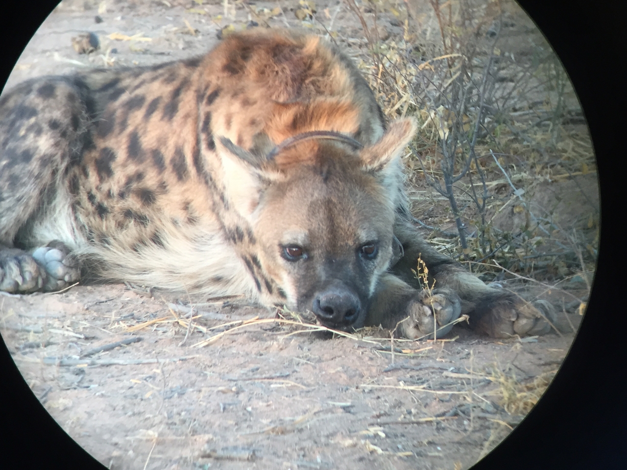 [3670] 2016_06_22_17_09_09_Africa_iPhone_6_IMG_7740_00330.jpg