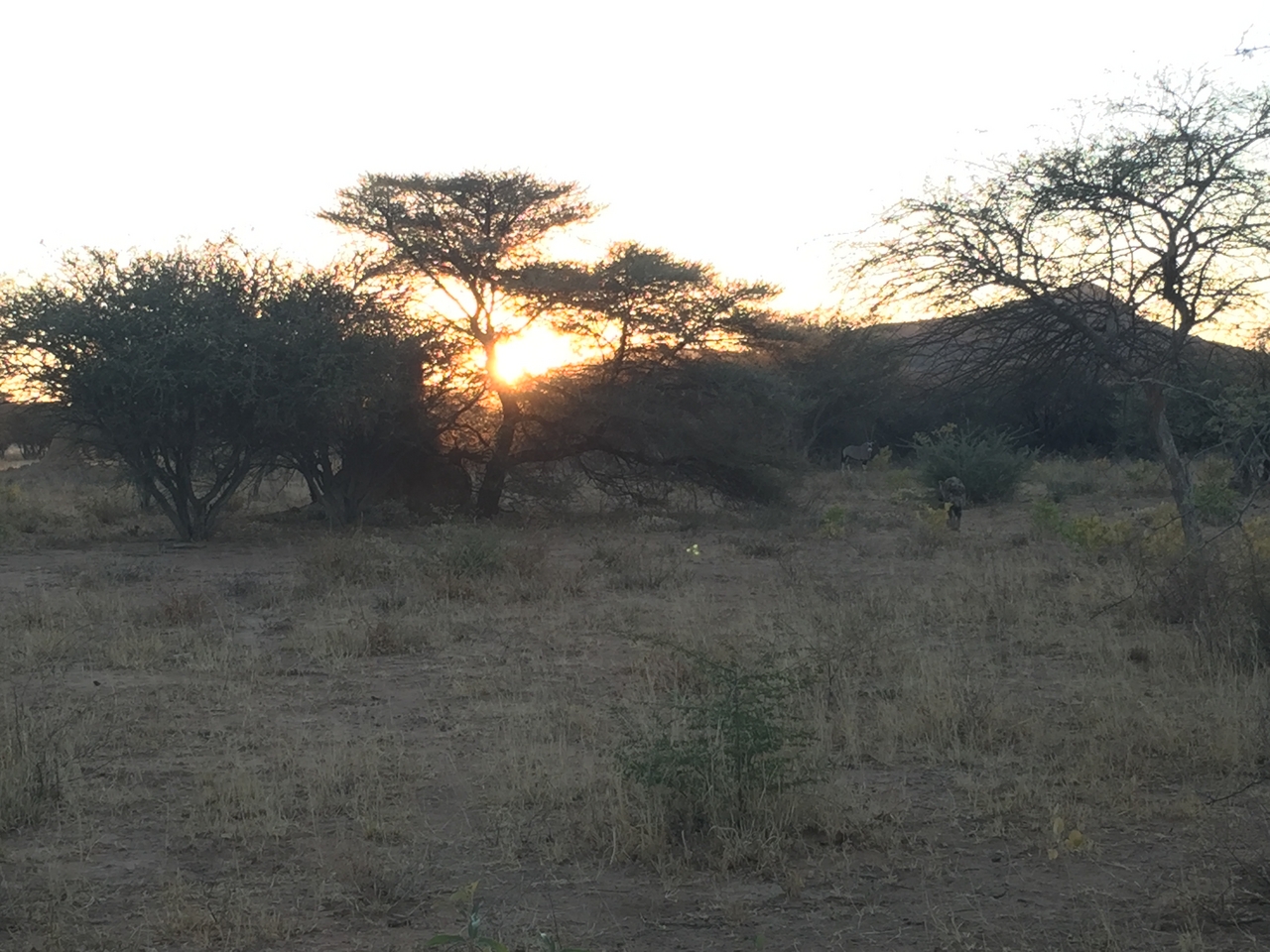[3683] 2016_06_22_17_12_44_Africa_iPhone_6_IMG_7743_02674.jpg