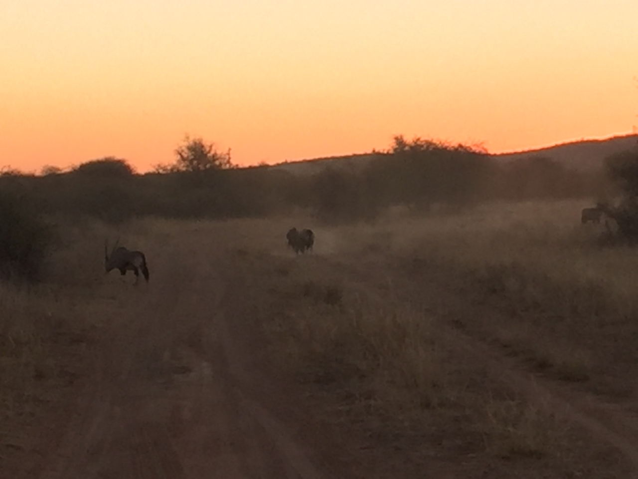 [3698] 2016_06_22_17_24_31_Africa_iPhone_6_IMG_7746_00336.jpg