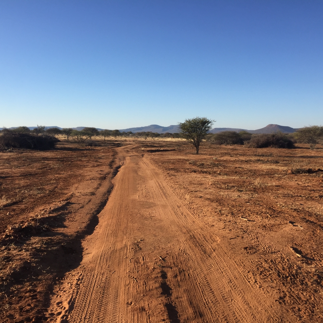 [5148] 2016_06_23_07_34_55_Africa_iPhone_6_IMG_7757_00344.jpg