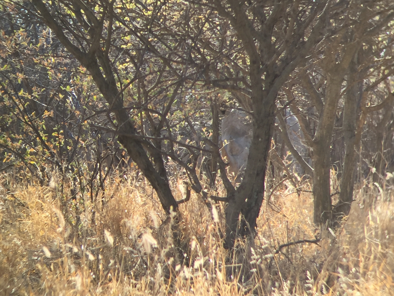 [5280] 2016_06_23_09_17_38_Africa_iPhone_6_IMG_7765_00352.jpg