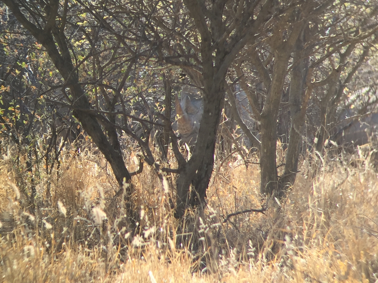 [5282] 2016_06_23_09_17_39_Africa_iPhone_6_IMG_7766_00353.jpg