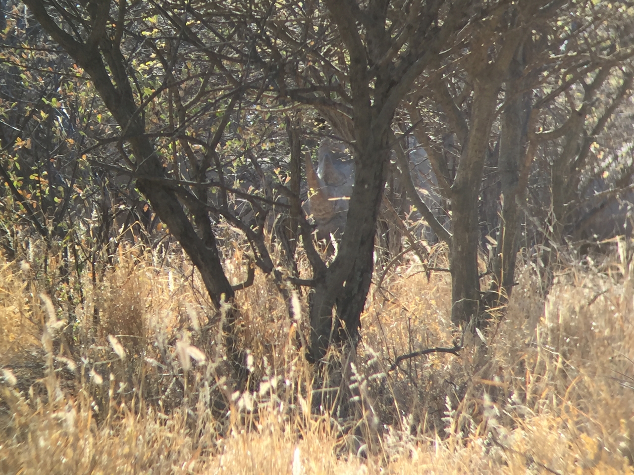 [5284] 2016_06_23_09_17_42_Africa_iPhone_6_IMG_7767_00354.jpg