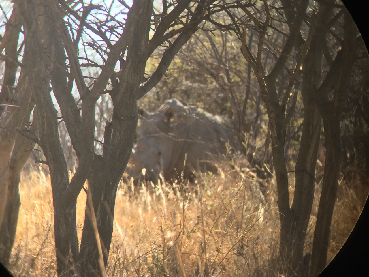 [5288] 2016_06_23_09_18_53_Africa_iPhone_6_IMG_7768_00355.jpg