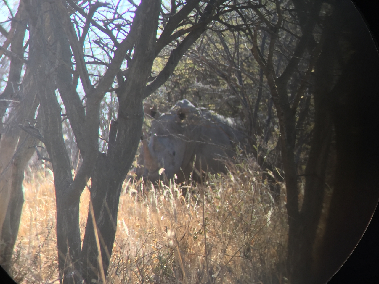 [5290] 2016_06_23_09_18_55_Africa_iPhone_6_IMG_7769_00356.jpg