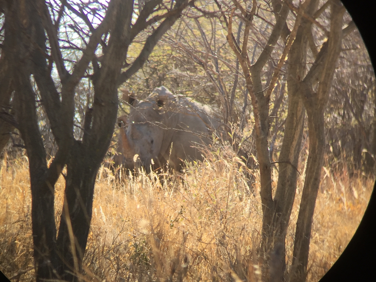 [5293] 2016_06_23_09_18_57_Africa_iPhone_6_IMG_7770_02698.jpg