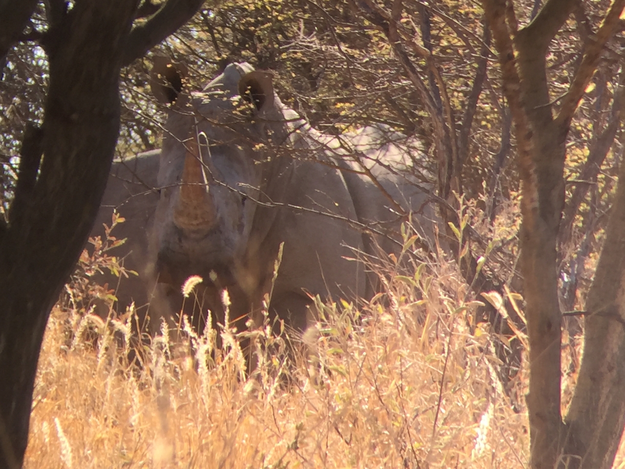 [5296] 2016_06_23_09_19_07_Africa_iPhone_6_IMG_7772_00359.jpg