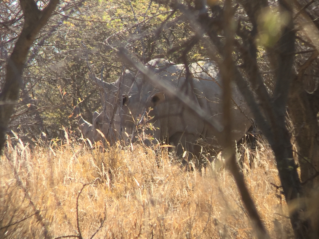 [5300] 2016_06_23_09_19_35_Africa_iPhone_6_IMG_7774_00361.jpg