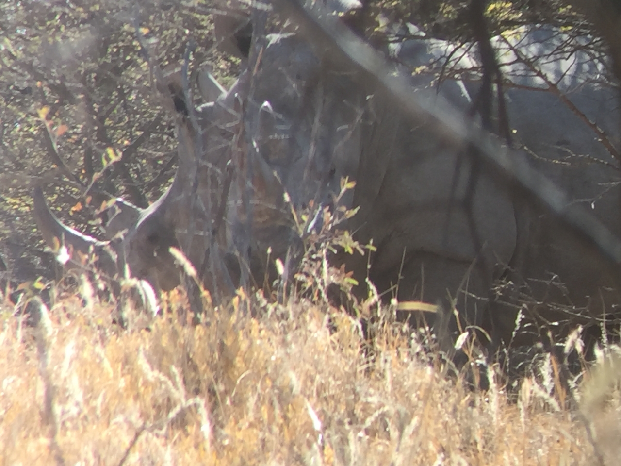 [5307] 2016_06_23_09_19_48_Africa_iPhone_6_IMG_7776_02704.jpg