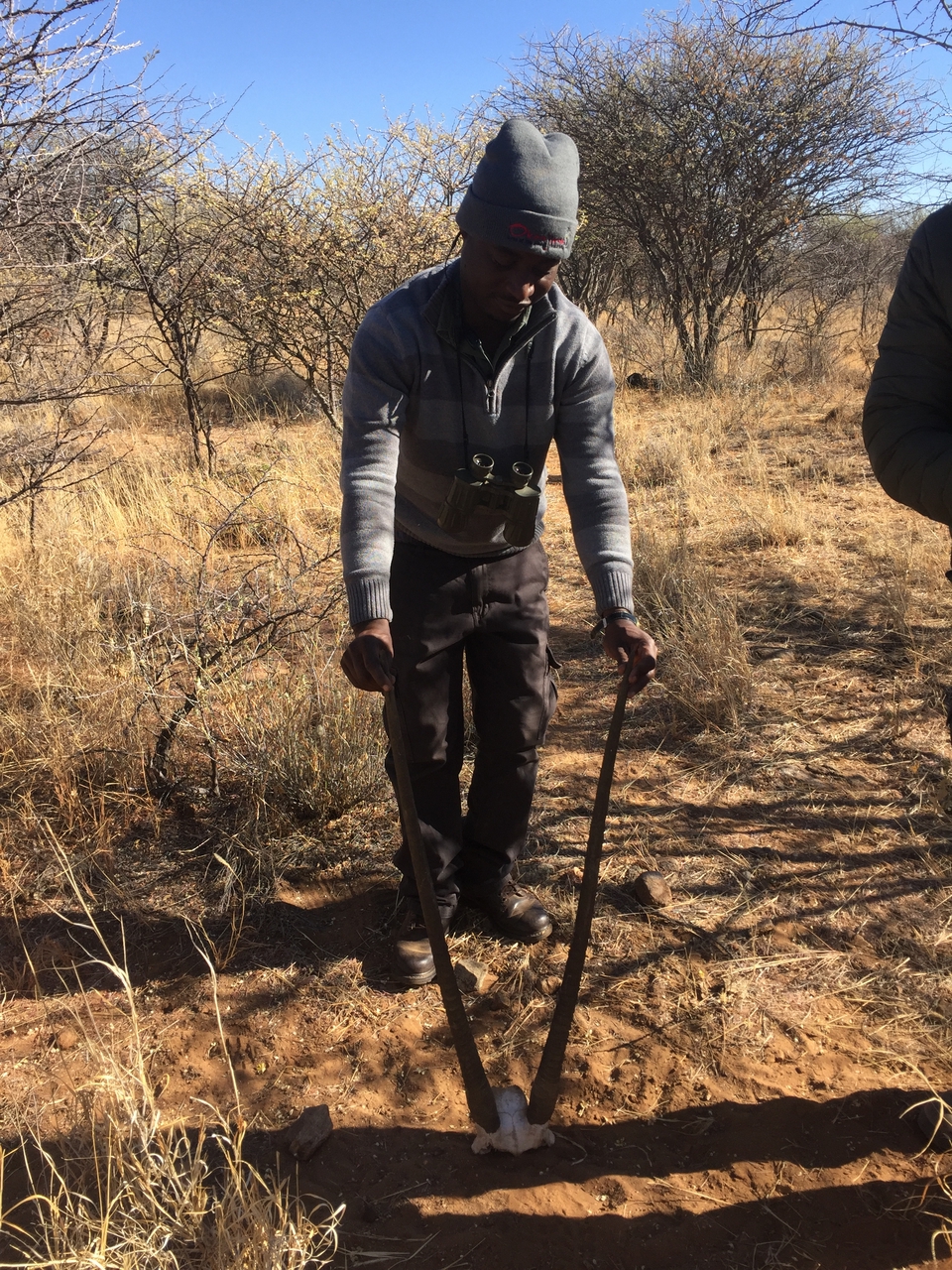 [5308] 2016_06_23_09_22_27_Africa_iPhone_6_IMG_7777_00364.jpg