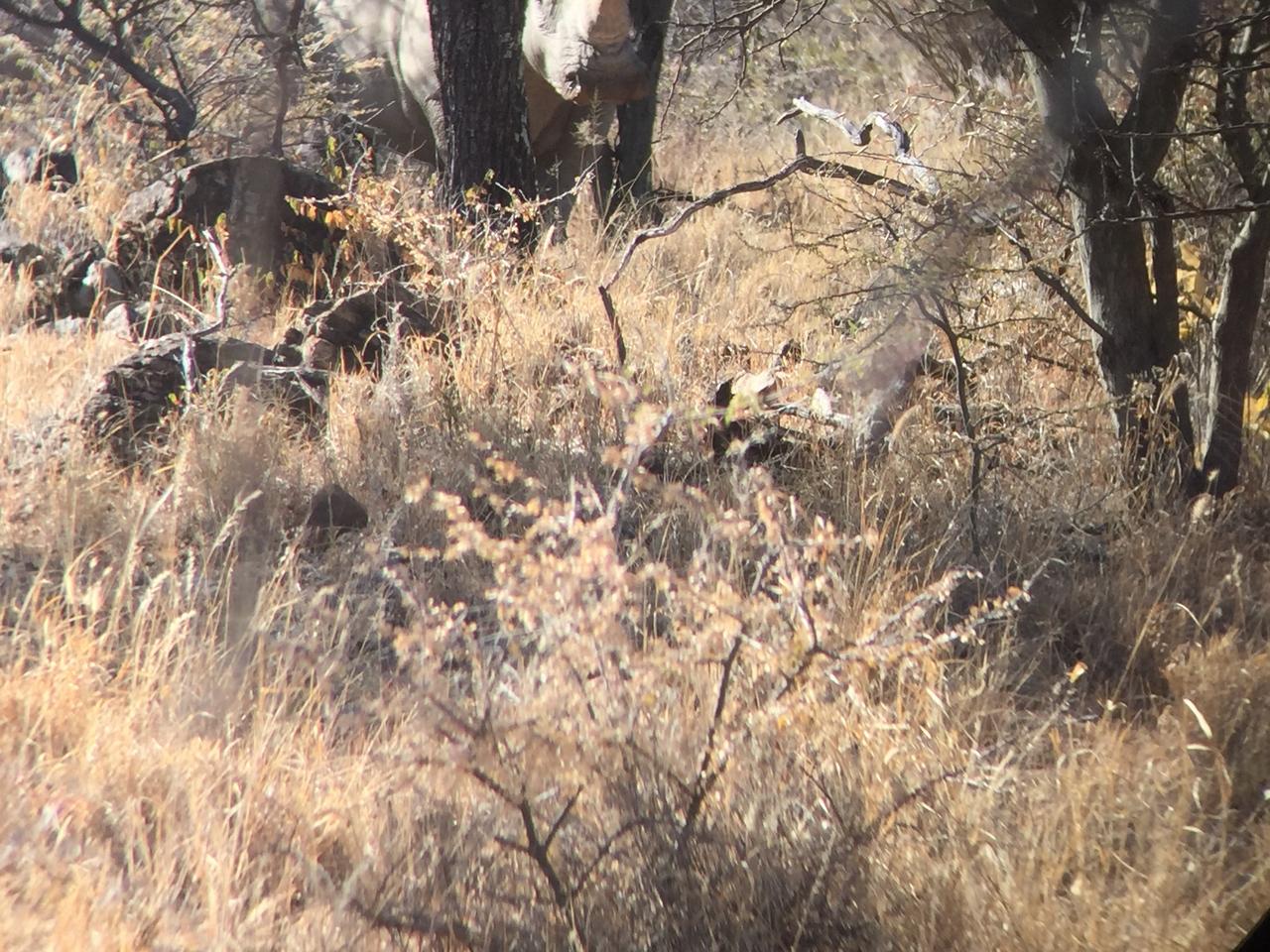 [5327] 2016_06_23_09_25_28_Africa_iPhone_6_IMG_7786_02714.jpg