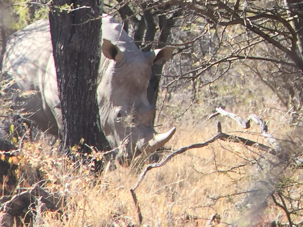 [5328] 2016_06_23_09_25_33_Africa_iPhone_6_IMG_7787_00374.jpg