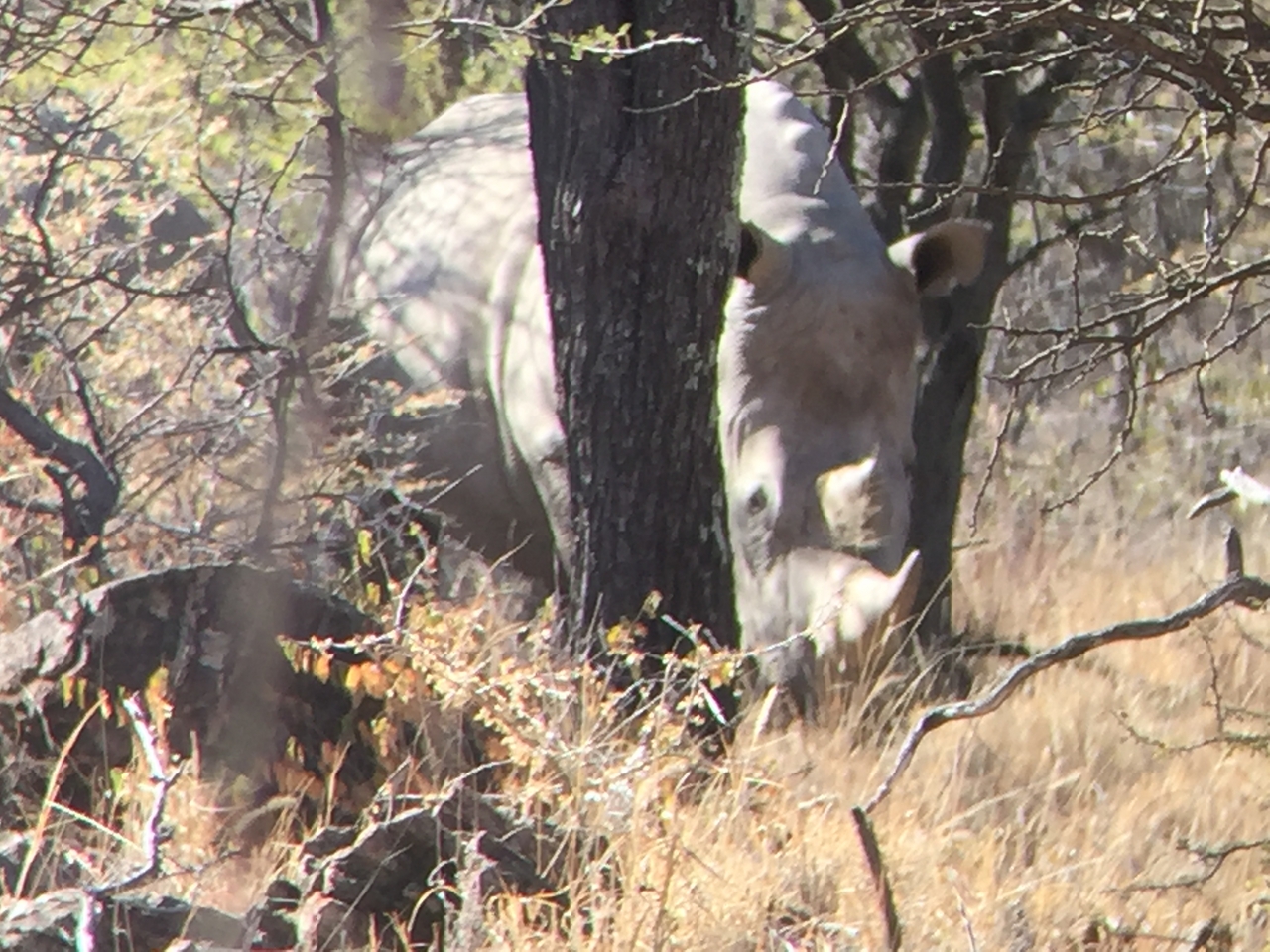 [5335] 2016_06_23_09_25_45_Africa_iPhone_6_IMG_7790_02718.jpg