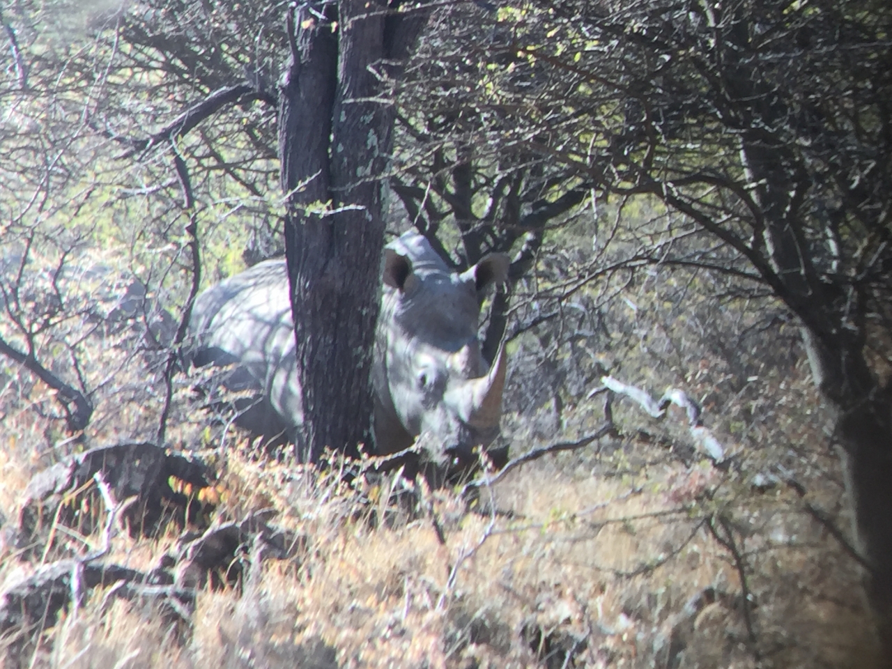 [5349] 2016_06_23_09_26_36_Africa_iPhone_6_IMG_7794_02722.jpg