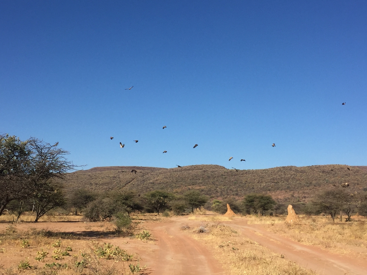 [9035] 2016_06_23_14_57_54_Africa_iPhone_6_IMG_7808_02735.jpg