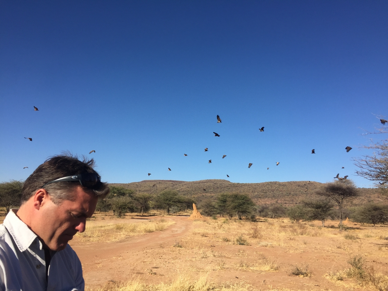 [9036] 2016_06_23_15_02_52_Africa_iPhone_6_IMG_7809_00395.jpg