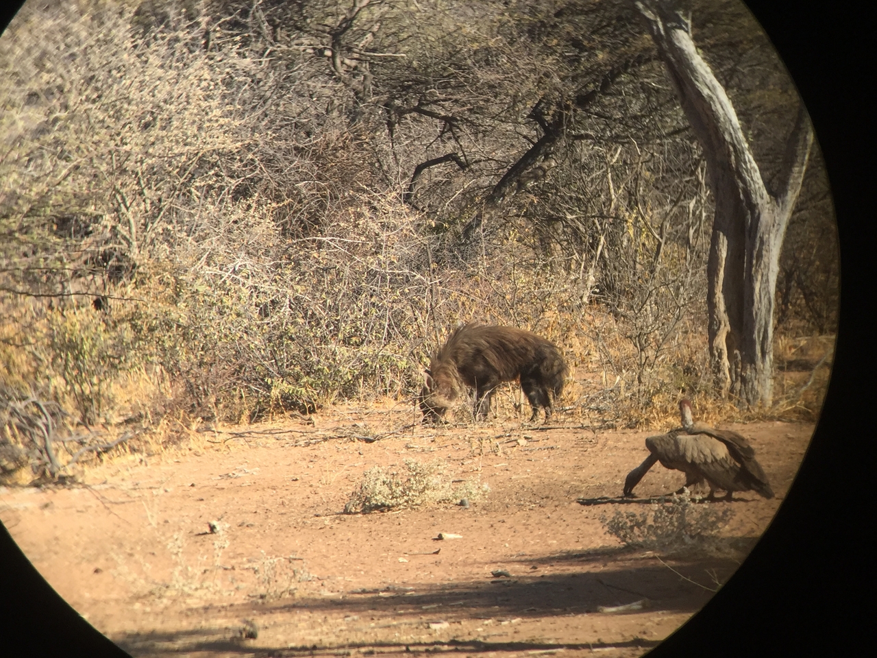 [9043] 2016_06_23_15_03_41_Africa_iPhone_6_IMG_7812_02739.jpg