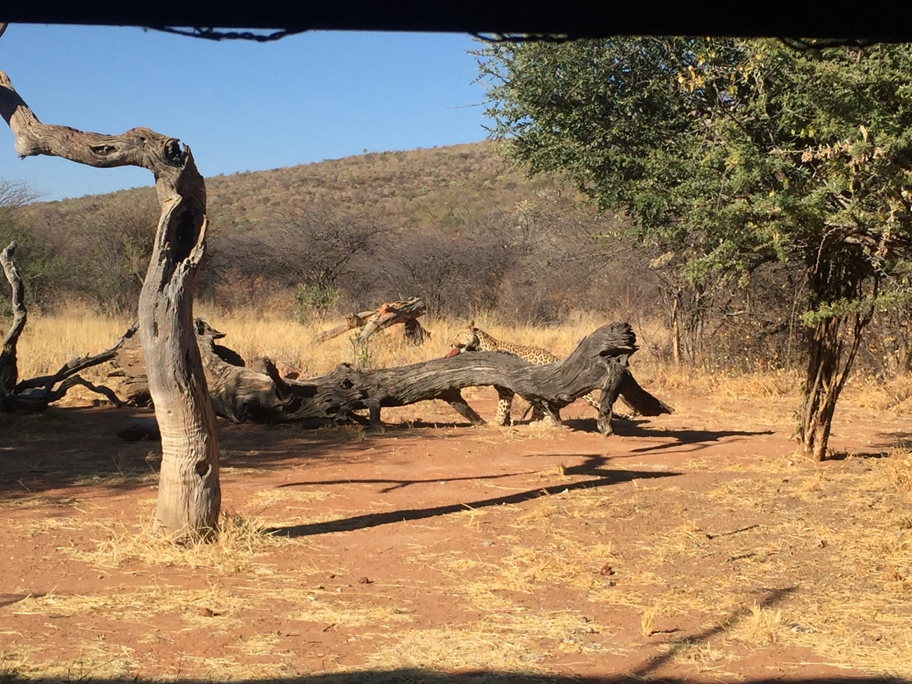 [9064] 2016_06_23_15_16_11_Africa_iPhone_6_IMG_7821_00407.jpg