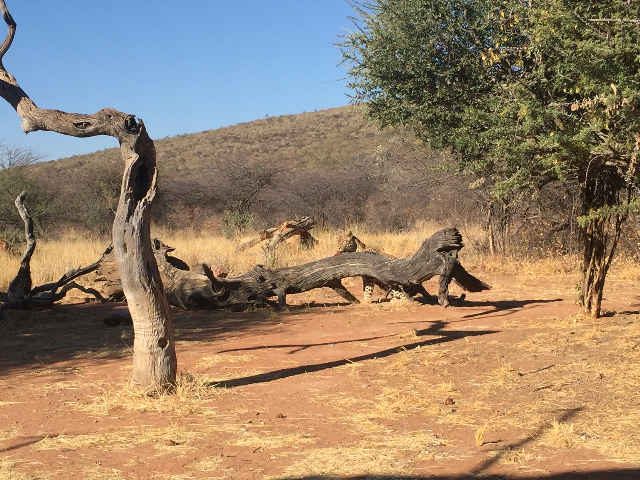 [9069] 2016_06_23_15_16_14_Africa_iPhone_6_IMG_7823_02750.jpg