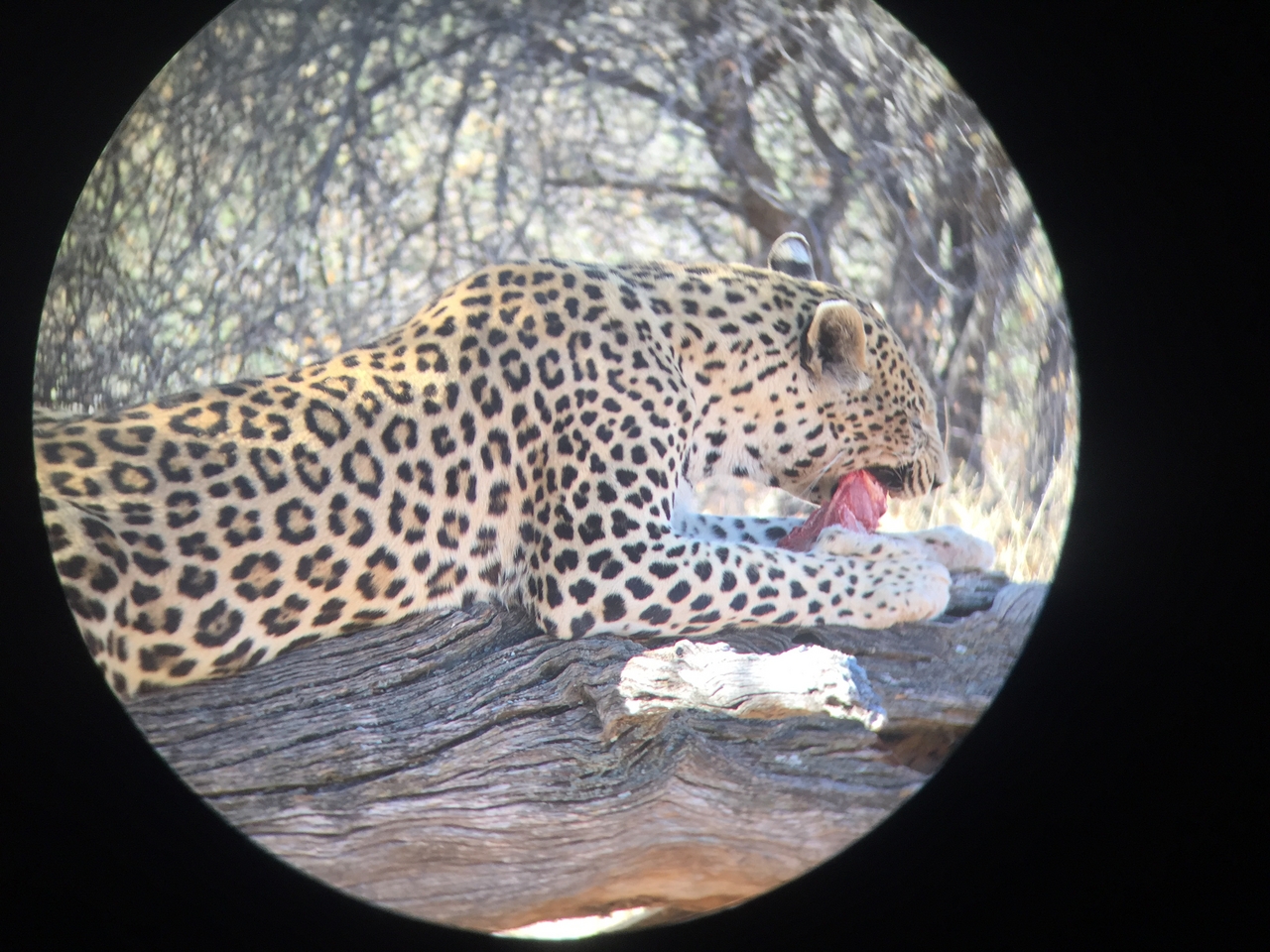 [9086] 2016_06_23_15_17_03_Africa_iPhone_6_IMG_7832_00418.jpg
