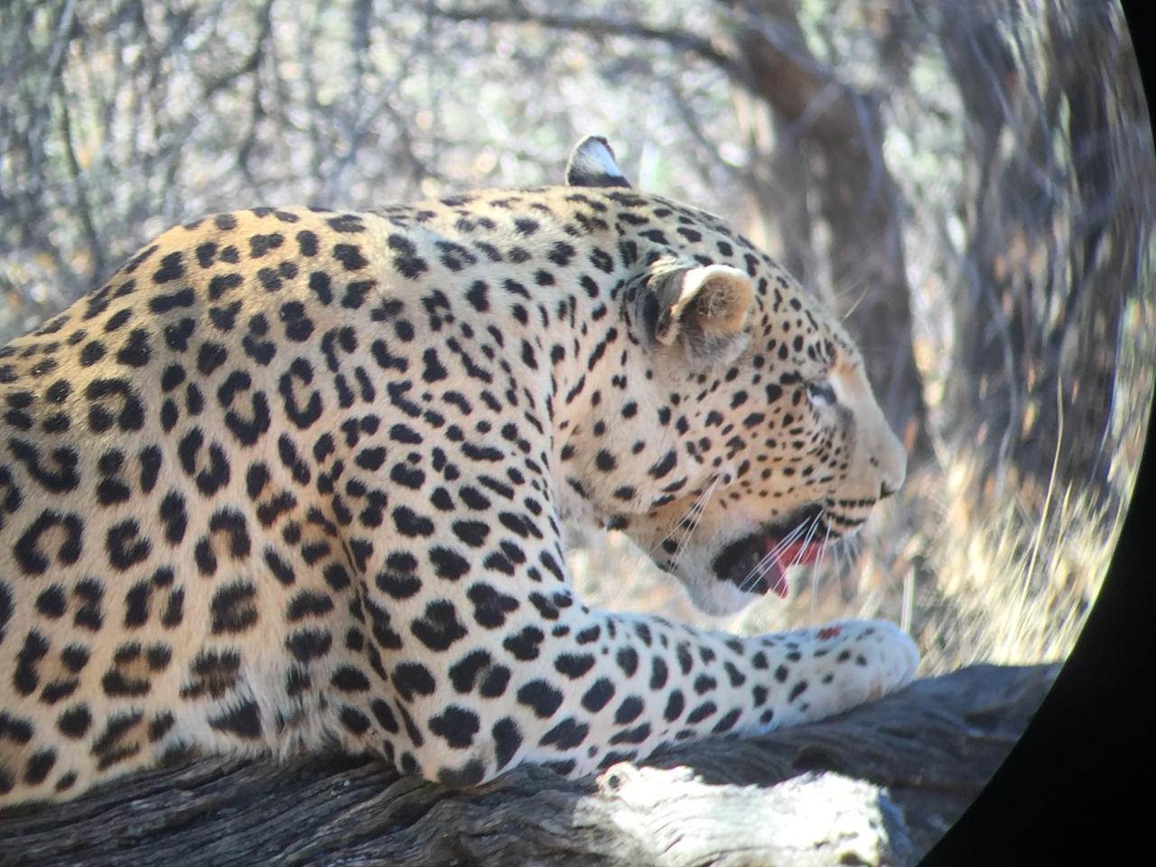 [9107] 2016_06_23_15_24_41_Africa_iPhone_6_IMG_7842_02769.jpg