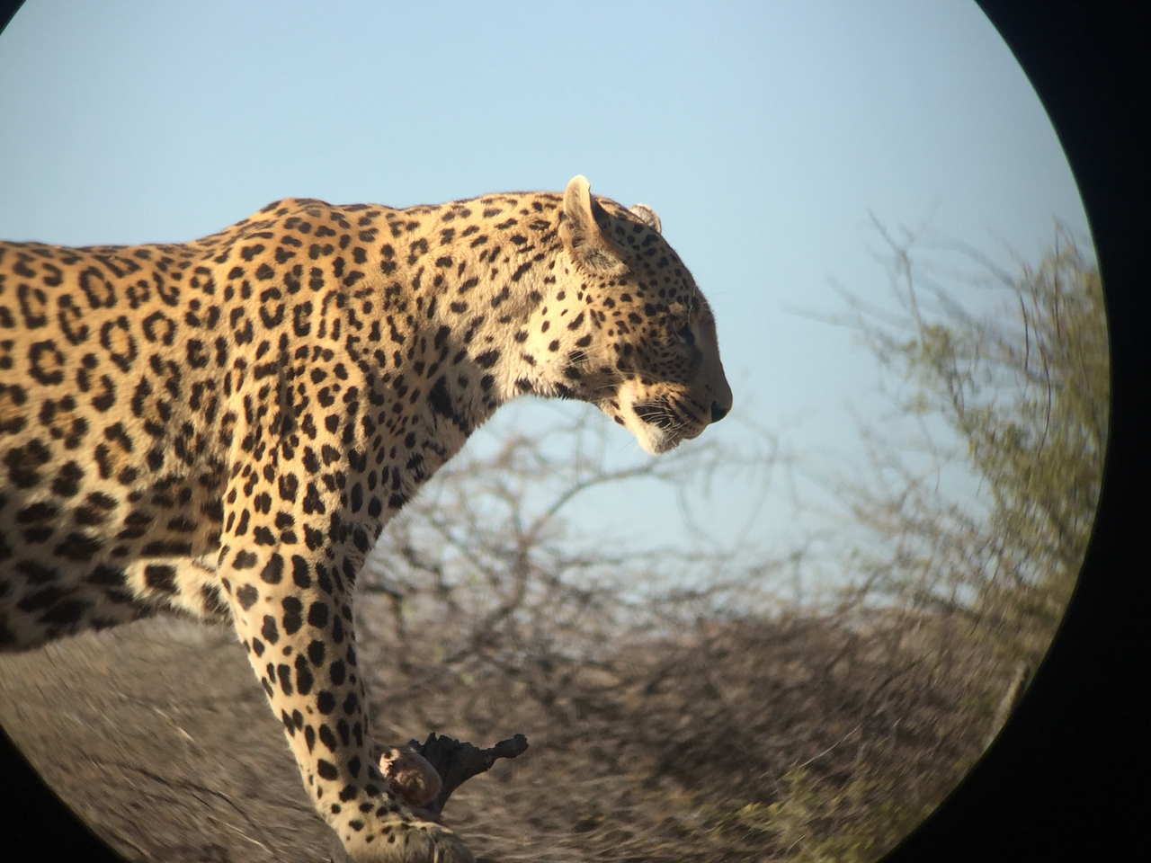 [9129] 2016_06_23_15_26_02_Africa_iPhone_6_IMG_7854_02780.jpg