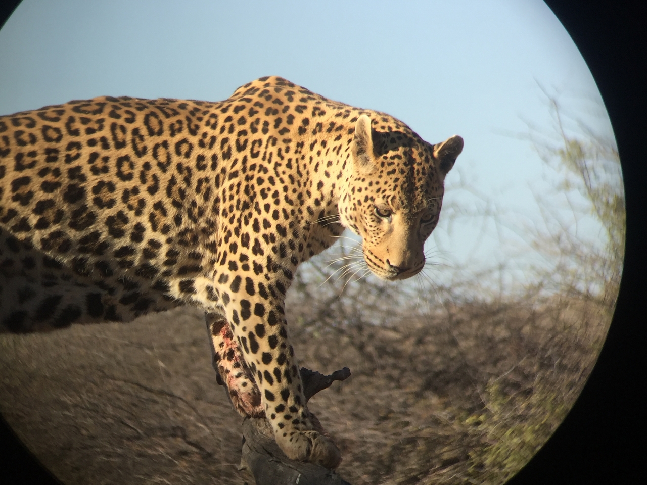 [9130] 2016_06_23_15_26_03_Africa_iPhone_6_IMG_7855_00440.jpg