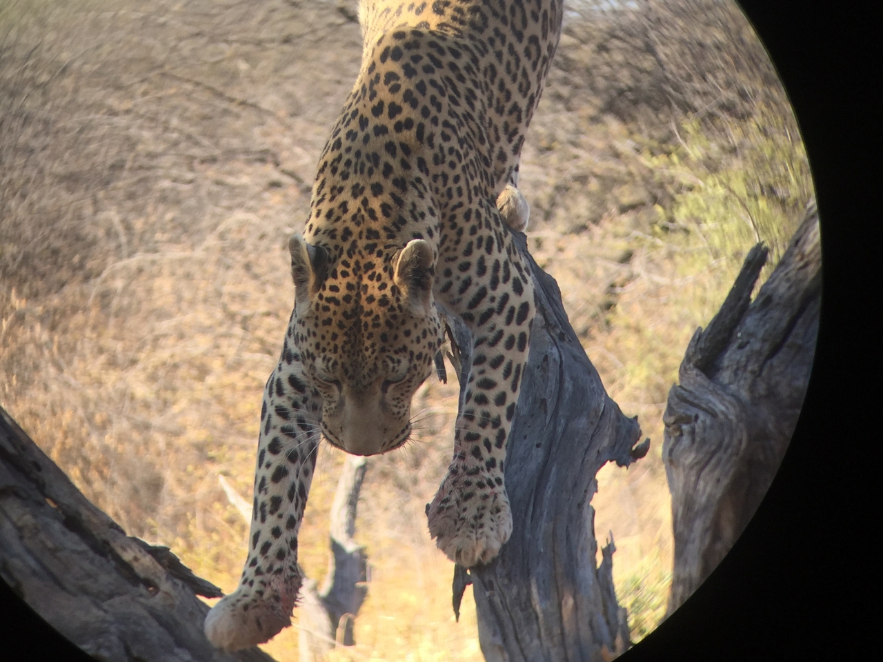 [9139] 2016_06_23_15_26_10_Africa_iPhone_6_IMG_7859_02785.jpg