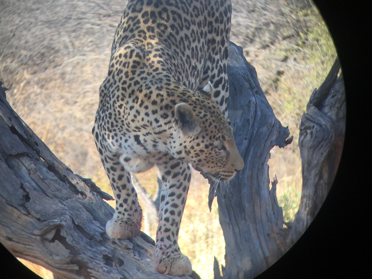 [9141] 2016_06_23_15_26_11_Africa_iPhone_6_IMG_7860_02786.jpg