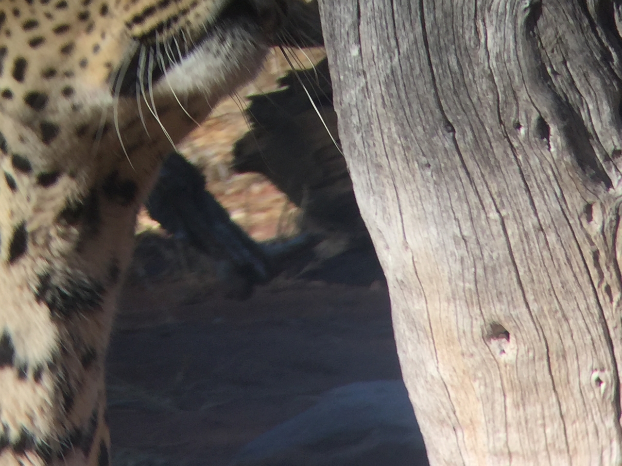 [9158] 2016_06_23_15_26_41_Africa_iPhone_6_IMG_7869_00454.jpg