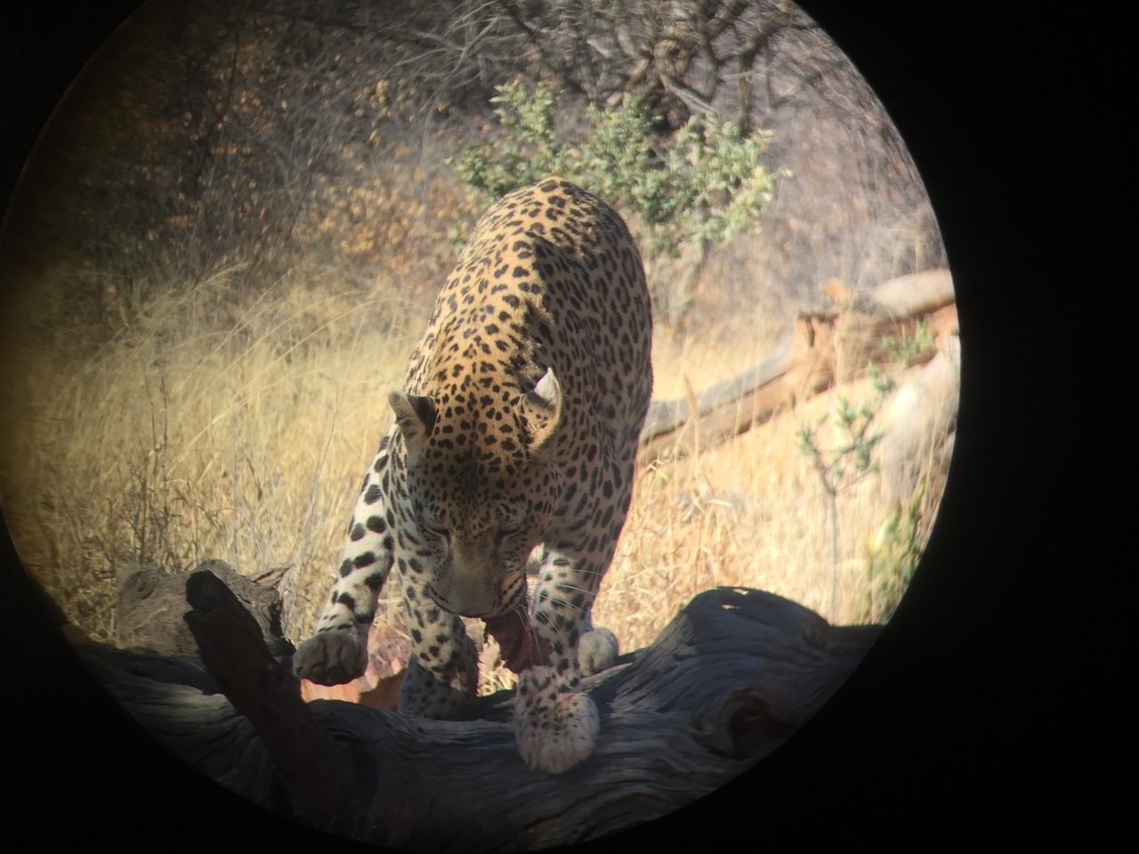 [9169] 2016_06_23_15_27_19_Africa_iPhone_6_IMG_7874_02800.jpg