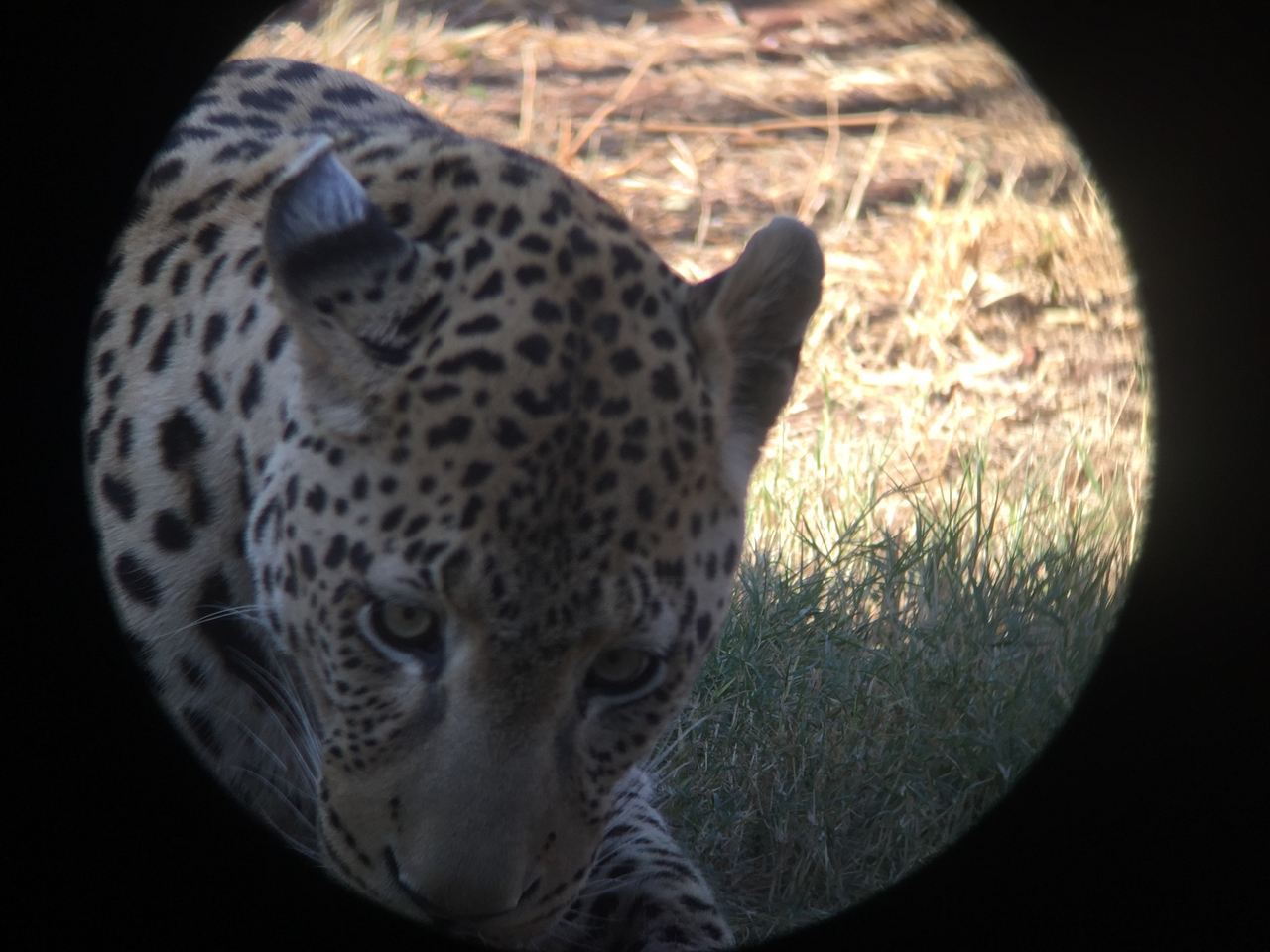 [9175] 2016_06_23_15_28_08_Africa_iPhone_6_IMG_7877_02803.jpg