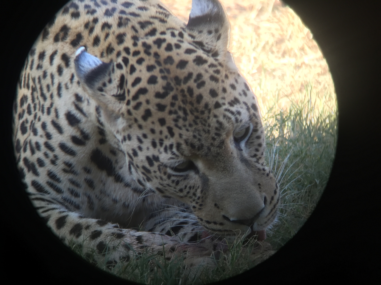 [9176] 2016_06_23_15_28_11_Africa_iPhone_6_IMG_7878_00463.jpg