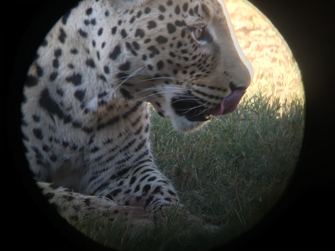 [9181] 2016_06_23_15_28_15_Africa_iPhone_6_IMG_7880_02806.jpg