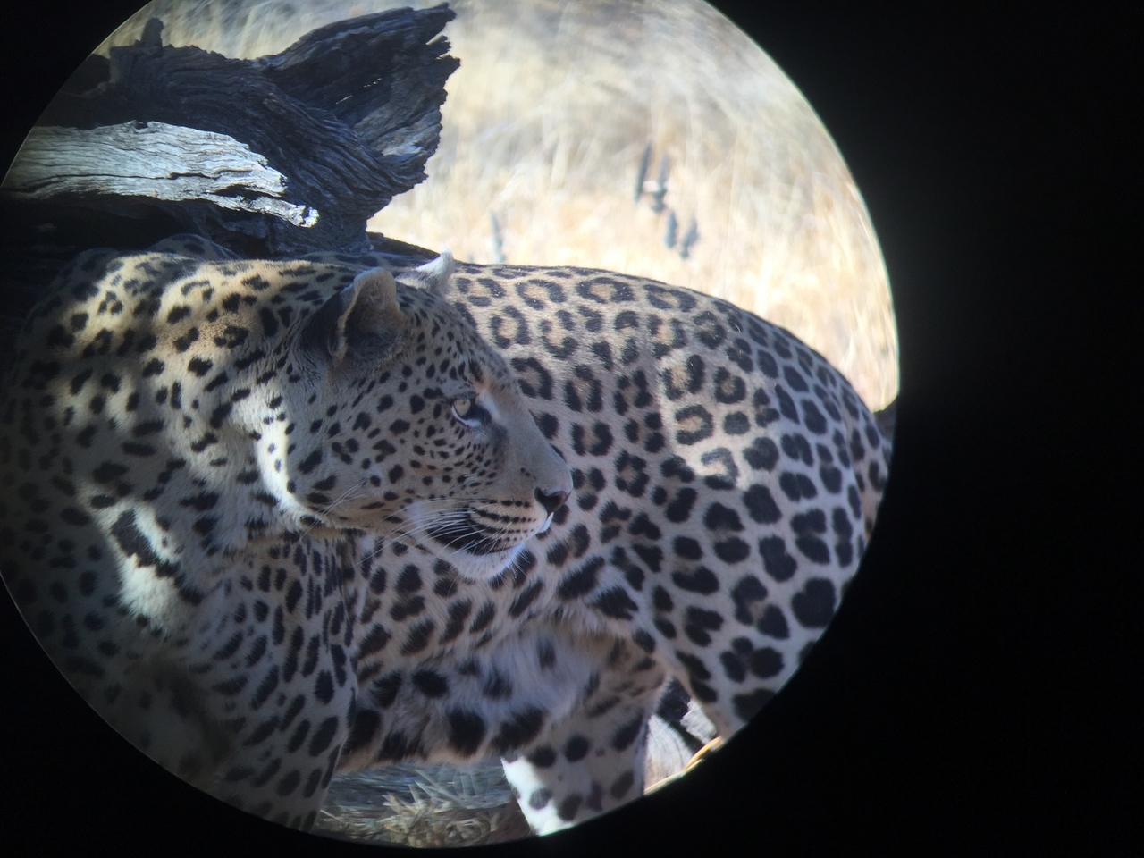 [9190] 2016_06_23_15_29_53_Africa_iPhone_6_IMG_7885_00470.jpg