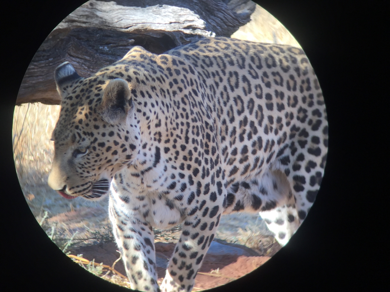 [9193] 2016_06_23_15_29_56_Africa_iPhone_6_IMG_7886_02812.jpg