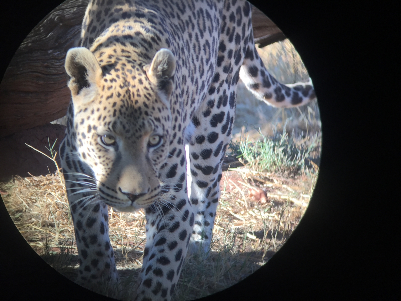 [9199] 2016_06_23_15_30_07_Africa_iPhone_6_IMG_7889_02815.jpg