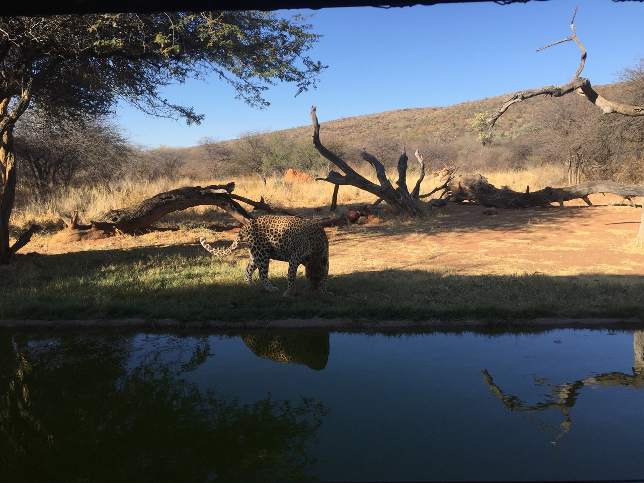 [9205] 2016_06_23_15_30_13_Africa_iPhone_6_IMG_7892_02818.jpg