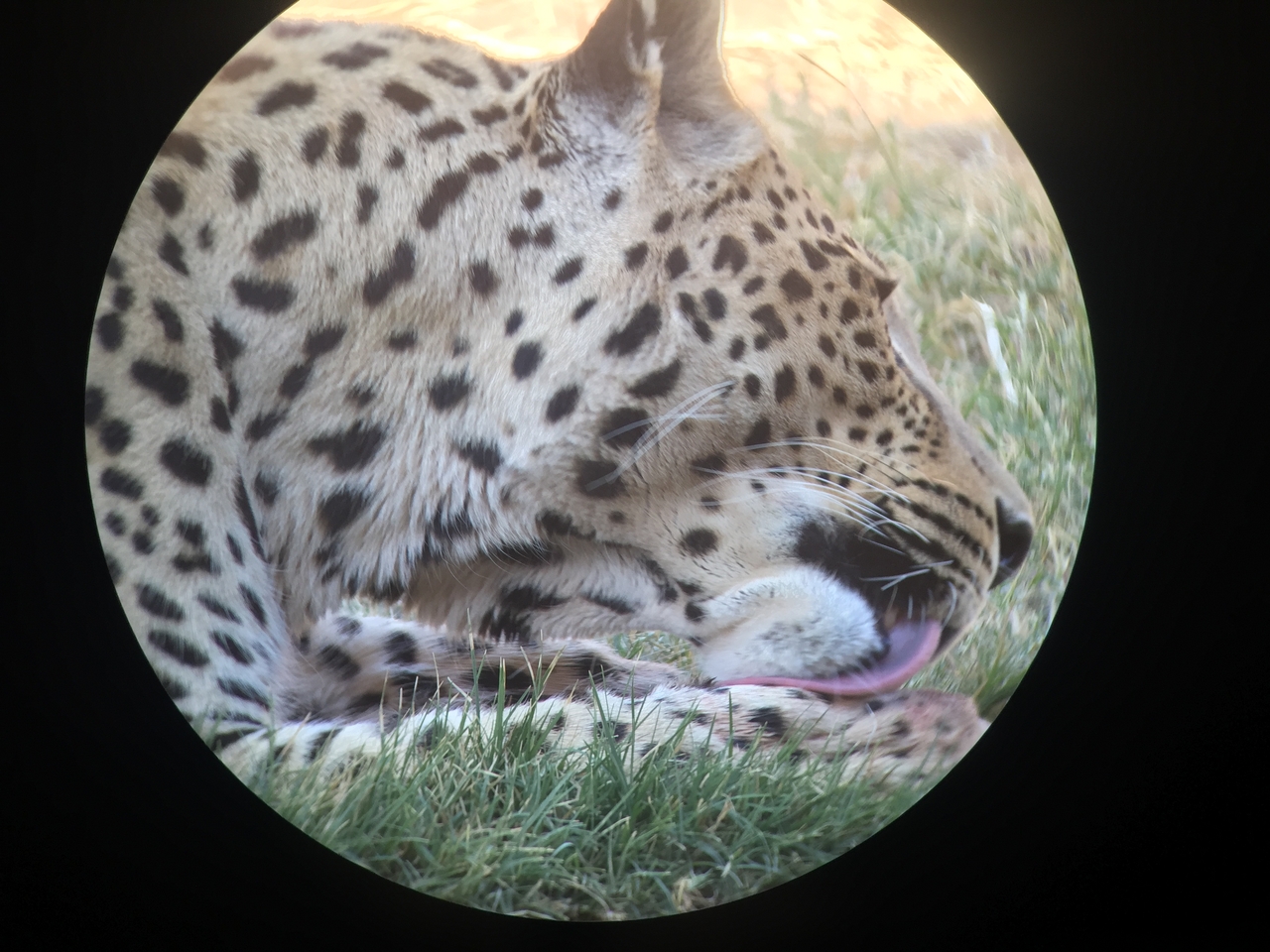 [9207] 2016_06_23_15_30_40_Africa_iPhone_6_IMG_7893_02819.jpg