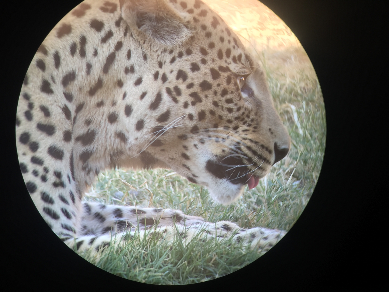 [9214] 2016_06_23_15_30_59_Africa_iPhone_6_IMG_7897_00482.jpg