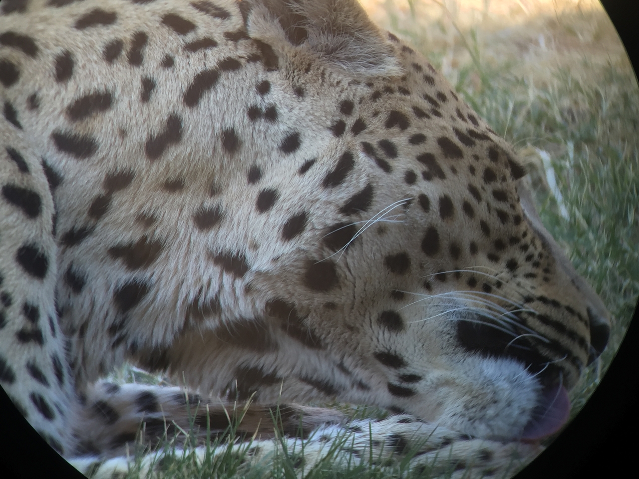 [9217] 2016_06_23_15_31_08_Africa_iPhone_6_IMG_7898_02824.jpg