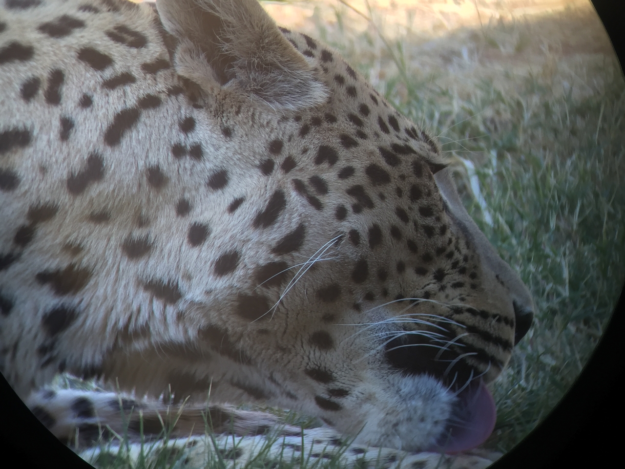 [9219] 2016_06_23_15_31_13_Africa_iPhone_6_IMG_7899_02825.jpg