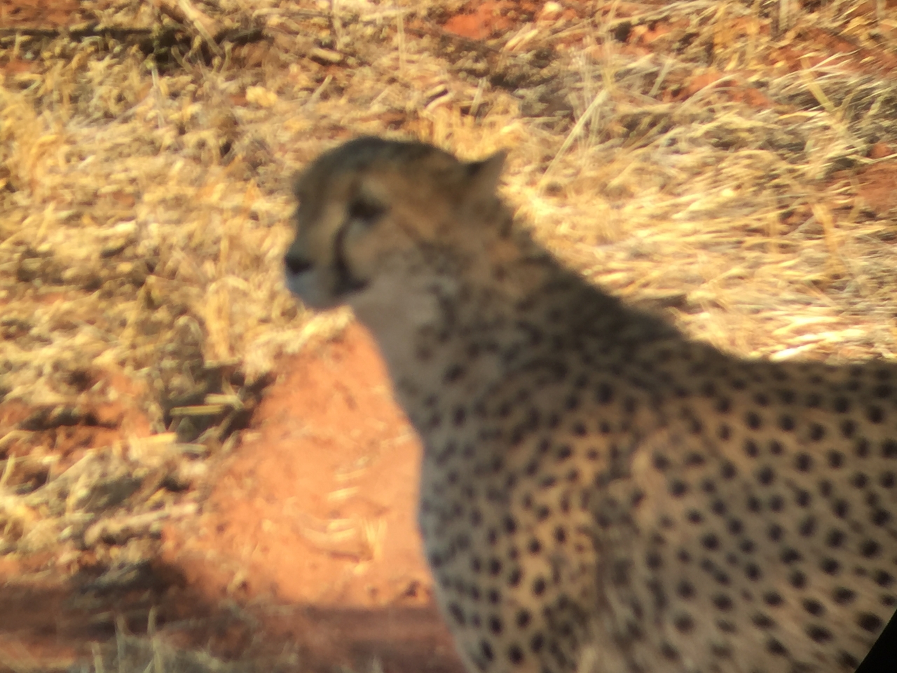 [9228] 2016_06_23_15_44_15_Africa_iPhone_6_IMG_7905_00489.jpg